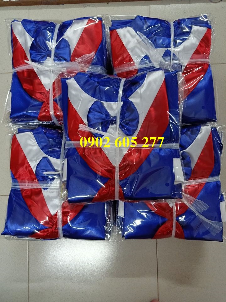 Áo cử nhân mầm non tại Bình Dương – số lượng 200 áo cử nhân